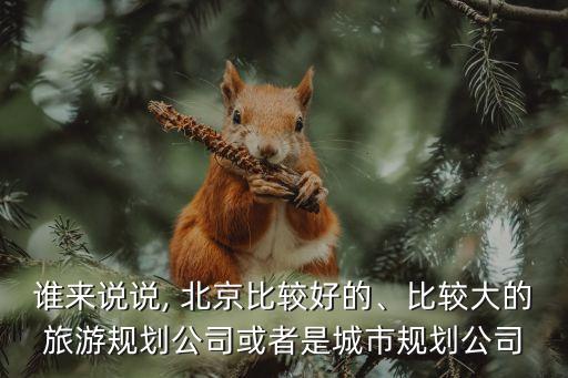 誰(shuí)來(lái)說(shuō)說(shuō), 北京比較好的、比較大的旅游規(guī)劃公司或者是城市規(guī)劃公司
