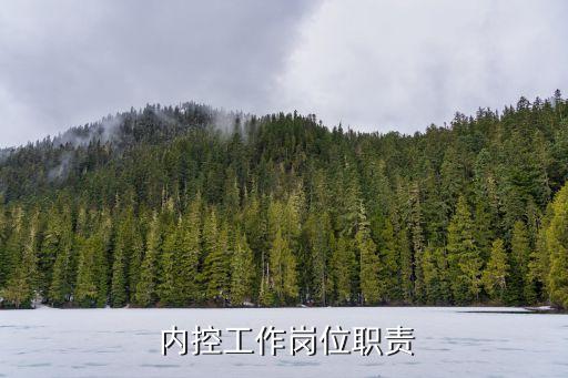  內控工作崗位職責