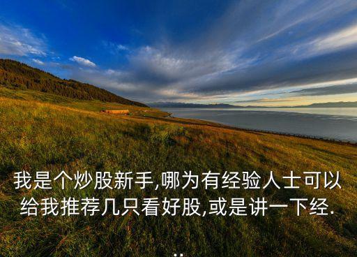 我是個炒股新手,哪為有經(jīng)驗(yàn)人士可以給我推薦幾只看好股,或是講一下經(jīng)...