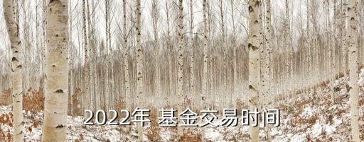 l基金產品休市,基金什么時候休市