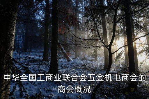 中華全國工商業(yè)聯(lián)合會(huì)五金機(jī)電商會(huì)的商會(huì)概況