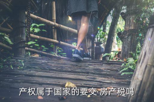 中國應不應該征收房產稅,應不應該征收房產稅辯論賽二三辯怎么準備稿反方