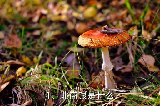 1、北商銀是什么