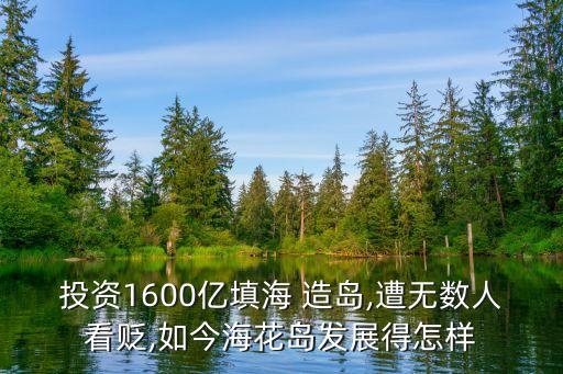 投資1600億填海 造島,遭無數人看貶,如今?；◢u發(fā)展得怎樣