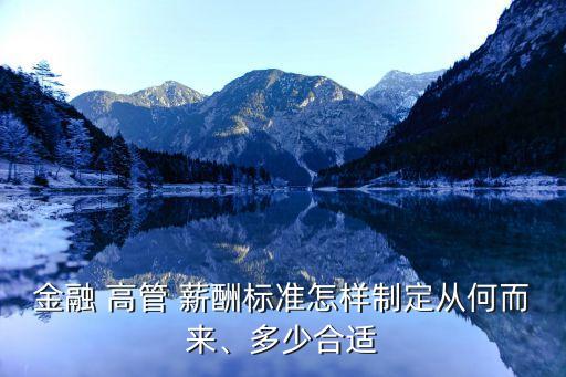 金融 高管 薪酬標(biāo)準(zhǔn)怎樣制定從何而來、多少合適