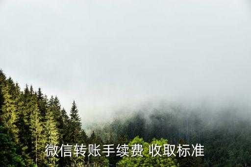 微信轉賬手續(xù)費 收取標準