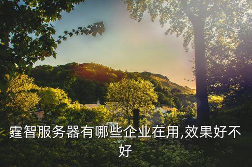 霆智服務器有哪些企業(yè)在用,效果好不好