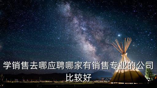 學(xué)銷(xiāo)售去哪應(yīng)聘哪家有銷(xiāo)售專(zhuān)業(yè)的公司比較好