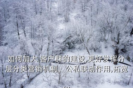 如何加大 客戶群的建設(shè),更好發(fā)揮分層分類營銷機(jī)制、公私聯(lián)動作用,拓寬...