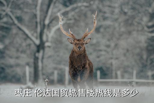 倫達(dá)集團破產(chǎn),倫達(dá)投資集團