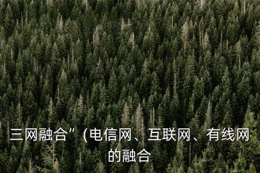 三網(wǎng)融合”(電信網(wǎng)、互聯(lián)網(wǎng)、有線網(wǎng)的融合