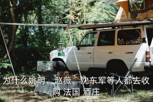 為什么姚明、趙薇、沈東軍等人都去收購 法國 酒莊