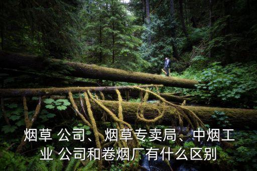  煙草 公司、 煙草專賣局、中煙工業(yè) 公司和卷煙廠有什么區(qū)別