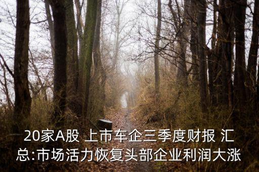 20家A股 上市車(chē)企三季度財(cái)報(bào) 匯總:市場(chǎng)活力恢復(fù)頭部企業(yè)利潤(rùn)大漲