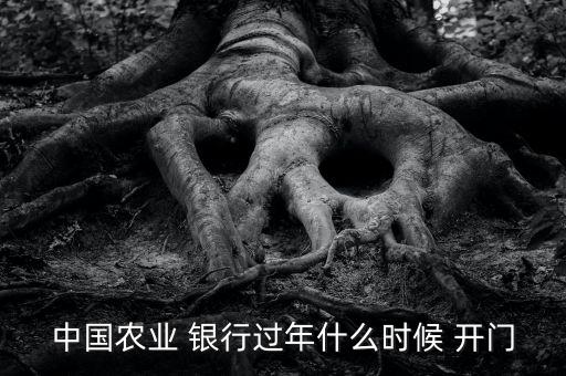中國農業(yè) 銀行過年什么時候 開門