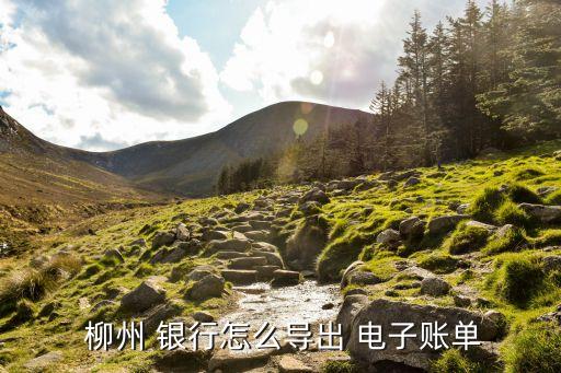 柳州銀行電子現金轉,銀行電子現金里面的錢怎么取出來
