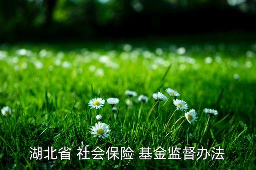 湖北省 社會保險(xiǎn) 基金監(jiān)督辦法