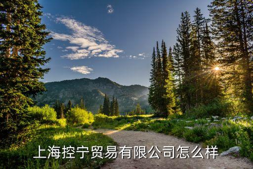 上?？貙庂Q(mào)易有限公司怎么樣