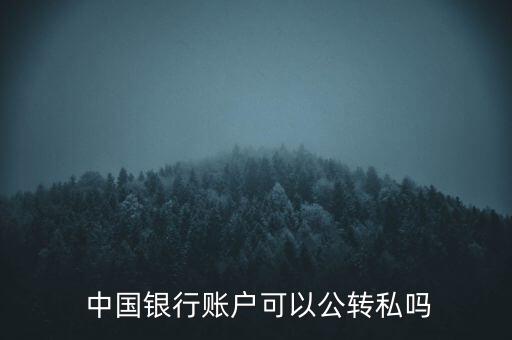  中國(guó)銀行賬戶(hù)可以公轉(zhuǎn)私嗎