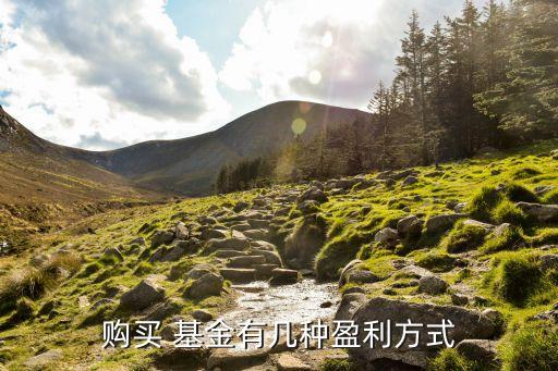 購(gòu)買 基金有幾種盈利方式