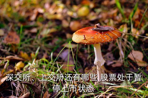 深交所、上交所還有哪些 股票處于暫停上市狀態(tài)