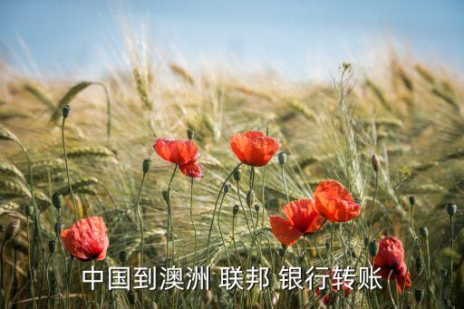 中國到澳洲 聯(lián)邦 銀行轉賬