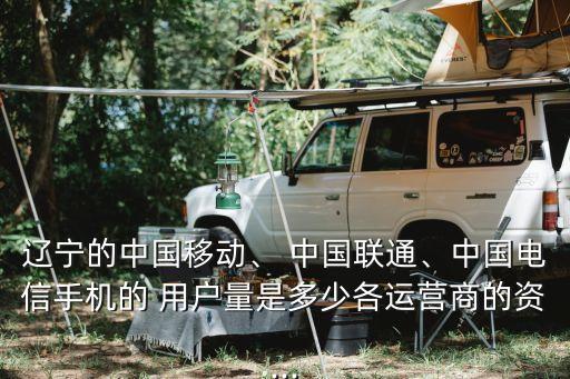 遼寧的中國移動、 中國聯(lián)通、中國電信手機的 用戶量是多少各運營商的資...