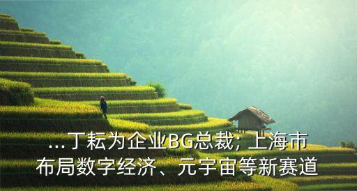 ...丁耘為企業(yè)BG總裁; 上海市布局?jǐn)?shù)字經(jīng)濟(jì)、元宇宙等新賽道