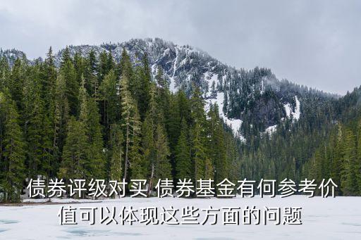  債券評(píng)級(jí)對買 債券基金有何參考價(jià)值可以體現(xiàn)這些方面的問題