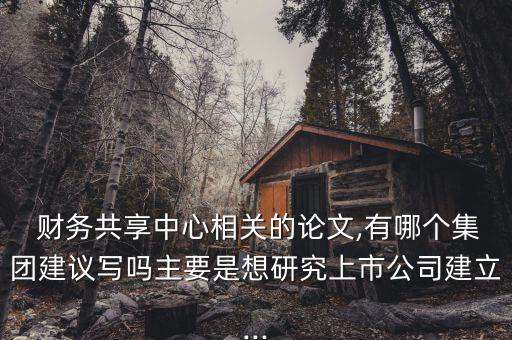 財務共享中心相關的論文,有哪個集團建議寫嗎主要是想研究上市公司建立...