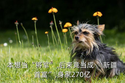 本想當(dāng)“將軍”,后來(lái)竟當(dāng)成“ 新疆首富”,身家270億
