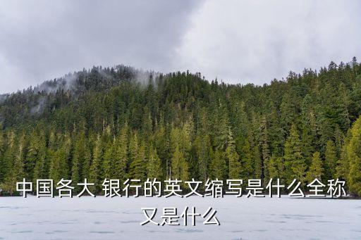 中國(guó)各大 銀行的英文縮寫是什么全稱又是什么