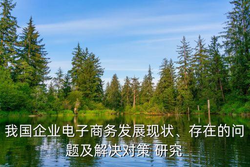 我國企業(yè)電子商務發(fā)展現(xiàn)狀、存在的問題及解決對策 研究