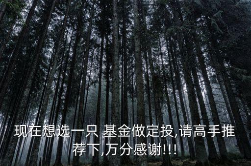 瑞福進(jìn)取基金,瑞福基金公司