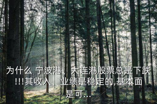為什么 寧波港、大連港股票總是下跌!!!其收入、業(yè)績是穩(wěn)定的,基本面是可...