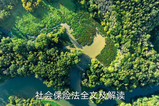 社會保險基金監(jiān)管的理論依據及要點