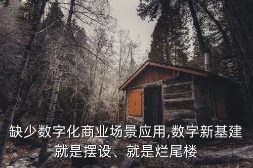 缺少數(shù)字化商業(yè)場景應用,數(shù)字新基建就是擺設、就是爛尾樓