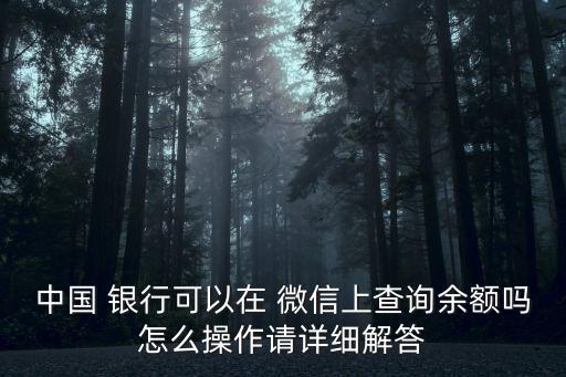 中國(guó) 銀行可以在 微信上查詢(xún)余額嗎怎么操作請(qǐng)?jiān)敿?xì)解答
