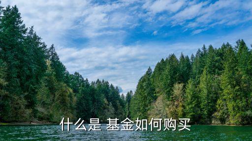 買(mǎi)基金策略,基金售后維護(hù)策略
