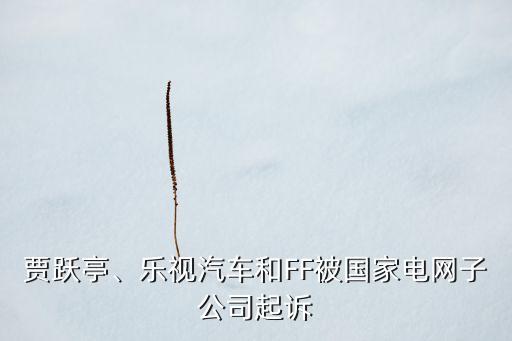 賈躍亭、樂視汽車和FF被國家電網(wǎng)子公司起訴