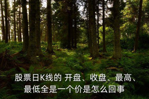  股票日K線的 開盤、收盤、最高、最低全是一個(gè)價(jià)是怎么回事