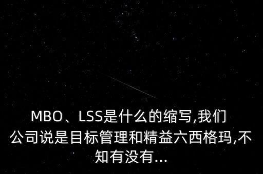 MBO、LSS是什么的縮寫,我們 公司說是目標(biāo)管理和精益六西格瑪,不知有沒有...
