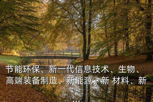 節(jié)能環(huán)保、新一代信息技術(shù)、生物、 高端裝備制造、新能源、新 材料、新...
