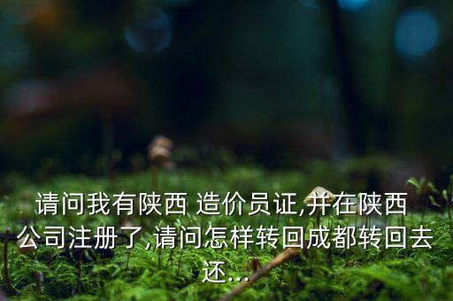 四川省造價(jià)公司轉(zhuǎn)讓,甲級造價(jià)公司轉(zhuǎn)讓
