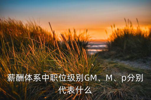 薪酬體系中職位級(jí)別GM、M、p分別代表什么