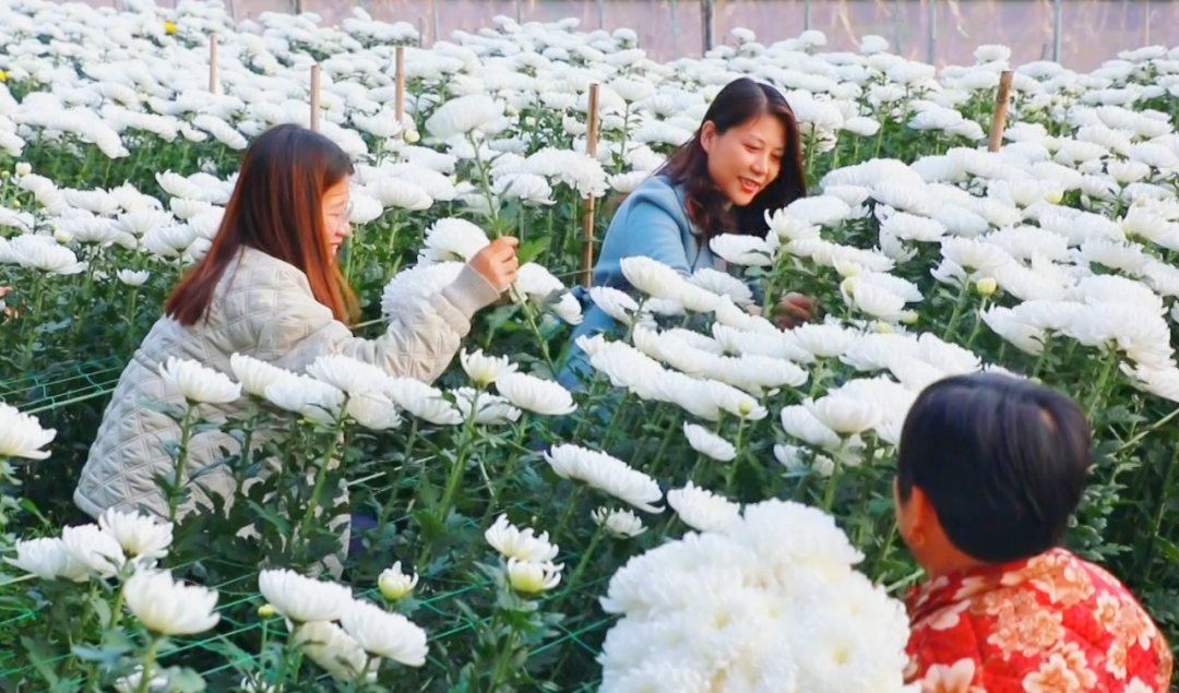 �F�ǅ^(q��)���ջ������M�ء���