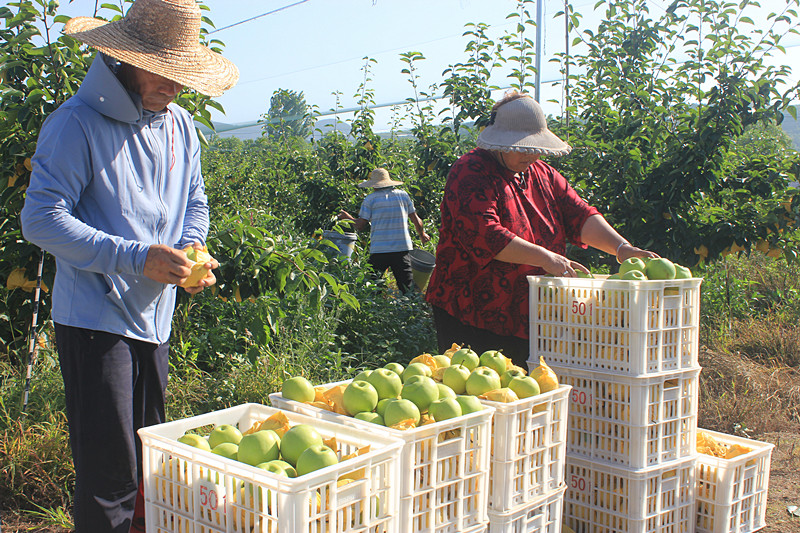 ��ó������Ѕ^(q��)ǰ�����@��(g��)���@������������